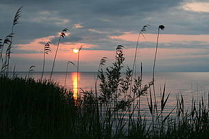 The Amur-Heilong Freshwater Ecoregion supports the International Nature Reserve Khanka-Xingkai ...
© WWF Russia / Yuri Darman The International Nature Reserve Khanka Lake. The Amur-Heilong Freshwater Ecoregion
© WWF Russia / Yuri Darman