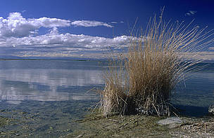 Khar-Us lake
© WWF Mongolia
© WWF Mongolia