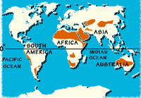 Deserts of the world.
© WWF Deserts of the world.
© WWF