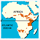 Giraffe Map.
© WWF Giraffe Map.
© WWF