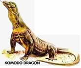 Komodo Dragon.
© WWF Komodo Dragon.
© WWF