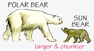 Larger and Chunkier Animals.
© WWF Larger and Chunkier Animals.
© WWF