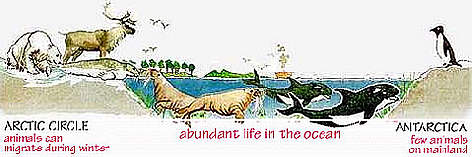 Abundant Life in Oceans.
© WWF Abundant Life in Oceans. rel=