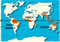 Tropical forests of the world.
© WWF Tropical forests of the world.
© WWF