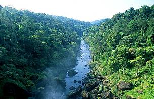 Landscape of the Greater Annamites Ecoregion spanning Laos and Vietnam.
© Ben Hayes
© Ben Hayes