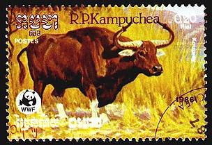 WWF / Kampuchea (Cambodian) stamp showing the Kouprey (Bos sauveli)
© R. P. Kampuchea
© R. P. Kampuchea