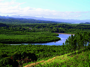 Mangroves act as a buffer between the land and sea, filtering out excess nutrient and sediment from ...
© WWF-SPPO
© WWF-SPPO
