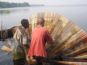 Locals working on Lac Tumba in the Democratic Republic of Congo, a region that has become part of ...
© WWF
© WWF