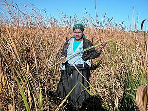 Mbongolwane wetland, South Africa.
© WWF / Chris MARAIS Freshwater management in South Africa. Bhekepi Dlamini (40) says her life was very difficult when ...
© WWF / Chris MARAIS