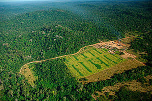 Logging mill near Apiacás, Mato Grosso state, Juruena National Park, Brazil. © WWF / Zig KOCH Logging mill near Apiacás, Mato Grosso state, Juruena National Park, Brazil.