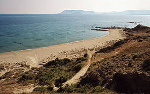 Sekana beach, a loggerhead turtle nesting area purchased by WWF-Greece to protect turtle eggs and ...
© WWF / Michel Gunther
© WWF / Michel Gunther