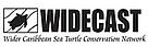Widecast