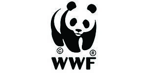logo WWF
© WWF logo WWF 400
© WWF