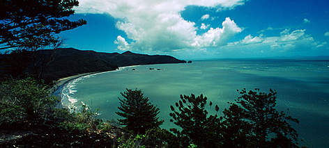 Norfolk Pines (Araucaria heterophylla) and coastal landscape in Cape Hillsborough National Park, ...
© WWF / Michèle DÉPRAZ rel=