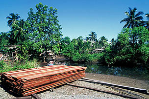 ไม้ที่พร้อมสำหรับการเคลื่อนย้ายไปสู่ท่าเรือหรือโรงเลื่อยโดยไม้นี้ไม่ได้เข้าสู่กระบวนการผลิตอย่างยั่ง ...
© Diego M. Garces / WWF
© Diego M. Garces / WWF
