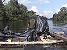 The raid on illegally harvested bigleaf mahogany in Pacaya Samiria National Reserve.