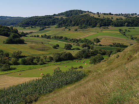 Malancrăv, Podișul Hârtibaciului
© Adept rel=