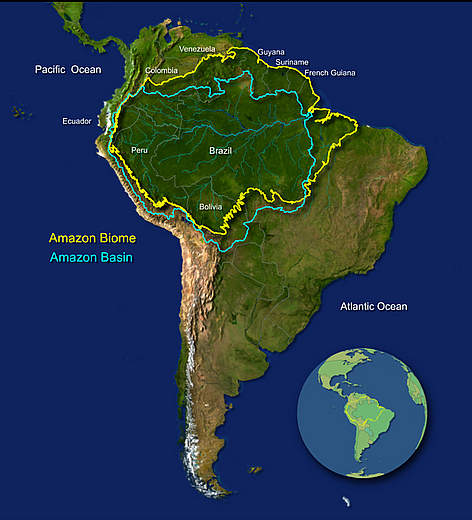 Amazon biome and basin. Image: WWF