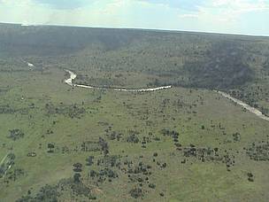 The Mara River flowing from its source, the South West Mau Forests in Kenya.
© WWF-EARPO / Sam Kanyamibwa The Mara River flowing from its source, the South West Mau Forests in Kenya.
© WWF-EARPO / Sam Kanyamibwa