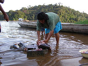 Amerindian woman cleaning fish in Suriname, South America.
© Jerrel Pinas
© Jerrel Pinas