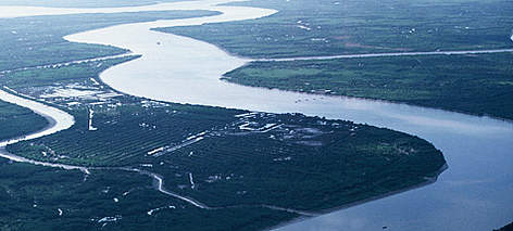 Aerial view of the Mekong Delta, Southern Vietnam.
© WWF / Elizabeth KEMF rel=