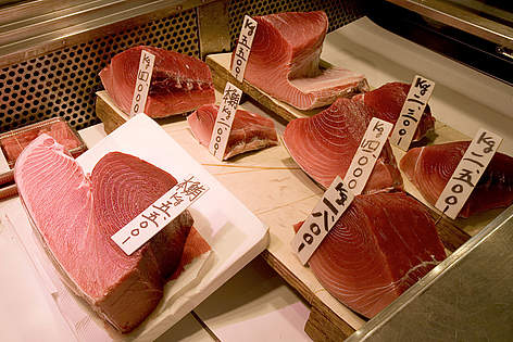 raw tuna pieces selected to be sold as sushi and sashimi / ©: Michel Gunter WWF Canon rel=