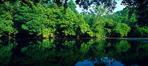 piedmont habitat