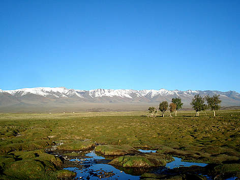 Mongolian nature
© WWF Mongolia rel=