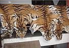 Tiger skins seized by Nepalese police