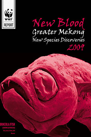 New Blood new species report front cover.
© WWF Greater Mekong
© WWF Greater Mekong