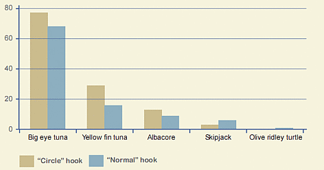 Differences in tuna catch when using circle and normal hooks. Source: Musthofa Zainudin I, Pet ...
© WWF rel=