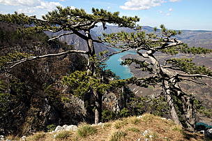 Tara
© IUCN_Boris Erg
© IUCN_Boris Erg