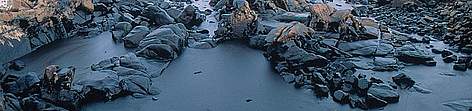 Oil spill from the sunken tanker Prestige on the Galician Costa de la Muerte near Camelle, Spain.
© WWF / Raúl GARCÍA rel=