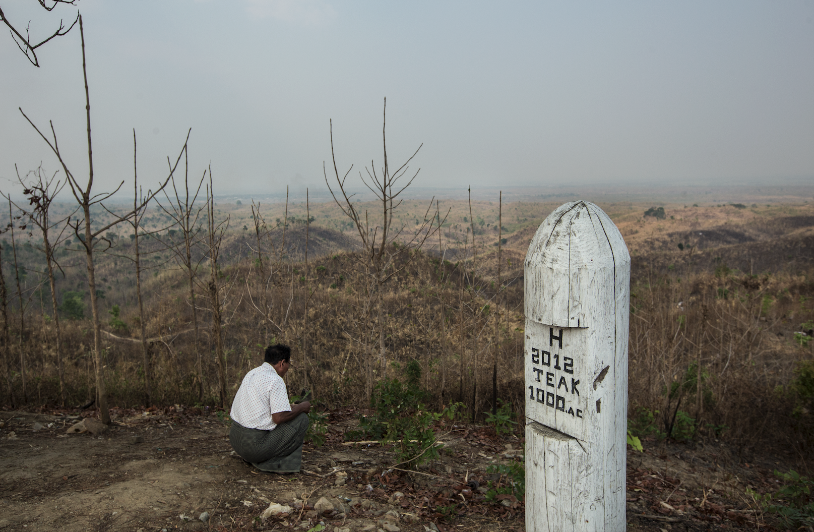 © Min Zayar Oo/WWF Myanmar