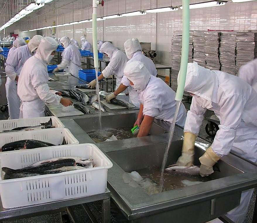 China’s fisheries must adapt to meet new EU regulations WWF