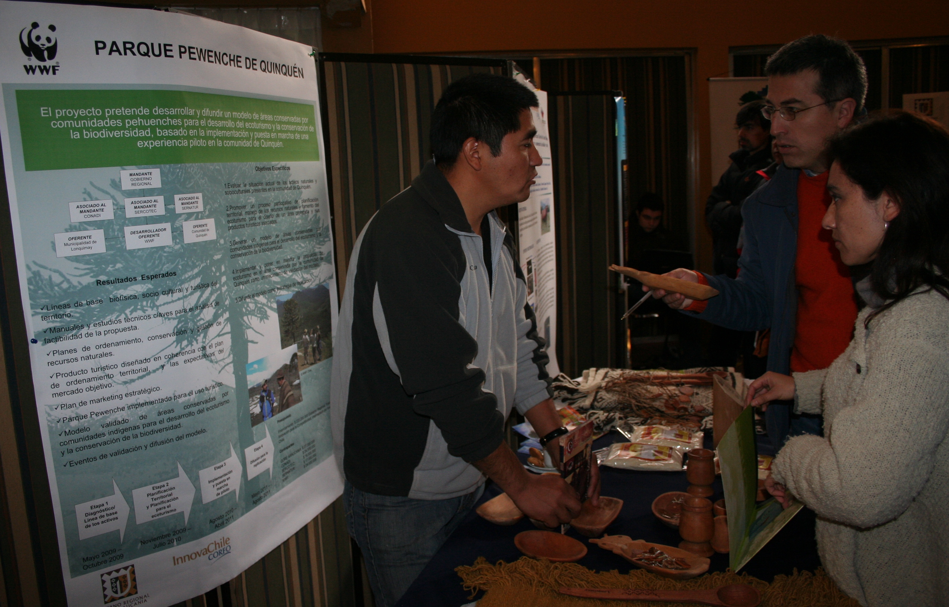 GOBIERNO REGIONAL DE LA ARAUCANIA gobierno regional de la araucania: