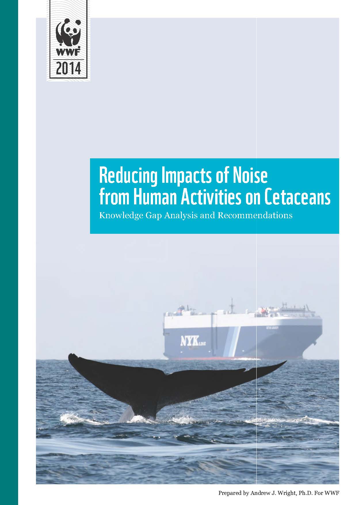 Reducing Impacts of Noise from Human Activities on Cetaceans WWF