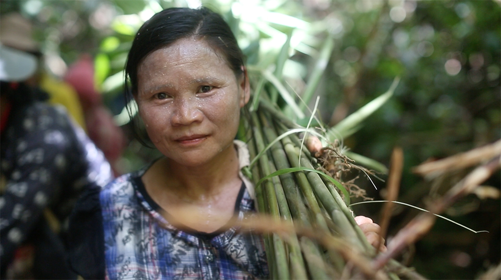 © Chit Ko WWF-Myanmar