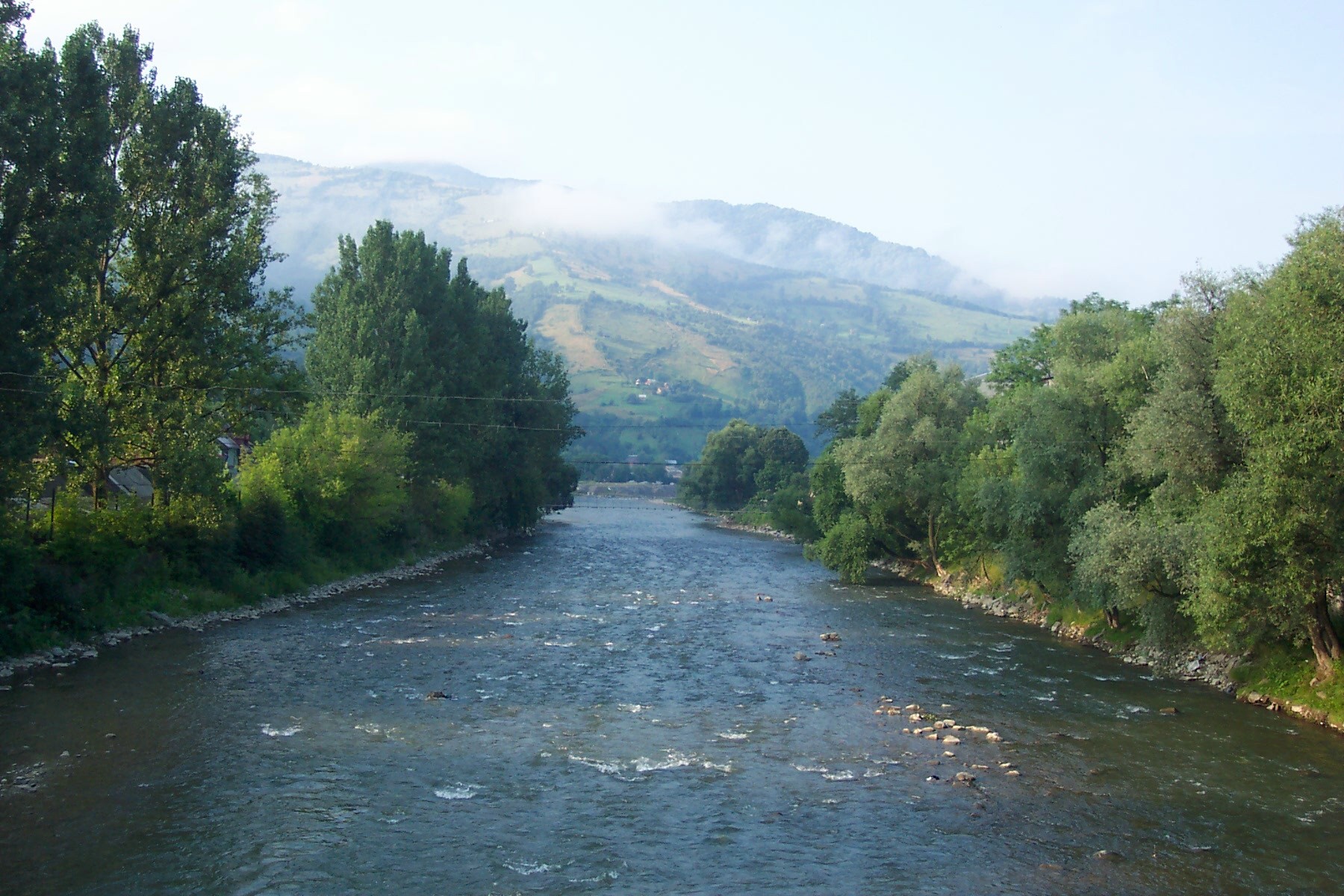 Initial steps for Payments for Ecosystem Services in Ukraine WWF