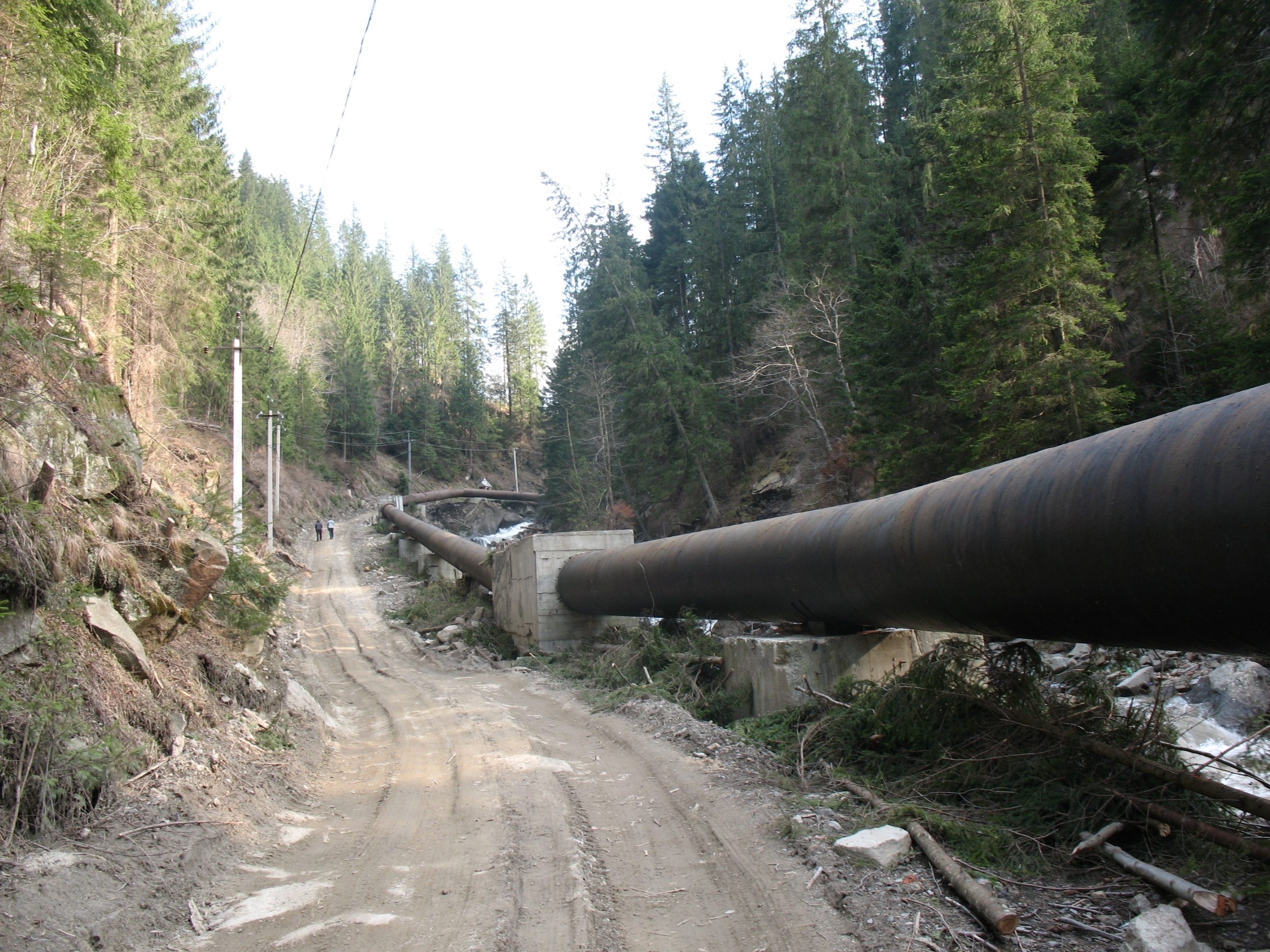 A pristine habitat in Romania saved from destruction by harmful small