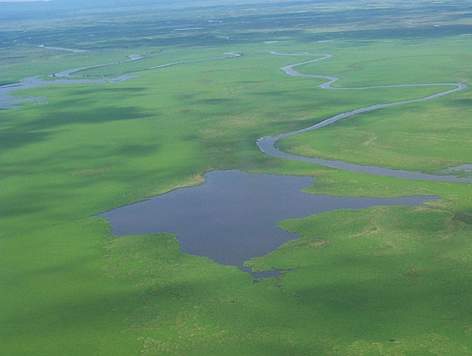 Pantanal flooded lanscape
© WWF Bolivia / Heidy RESNIKOWSKI rel=