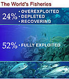 52% of the world's fisheries are fully exploited