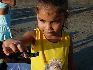 “Baula girl” releasing baby turtle in Junquillal, Costa Rica
© Carlos Drews/WWF LAC
© Carlos Drews/WWF LAC