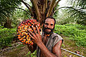 The weekly trip to the supermarket - just another thing on the to-do list. But our consumer choices directly affect communities, wildlife and the climate. It's all about palm oil - the versatile vegetable oil which makes crisps crispy and soap soapy. In fact, palm oil is in about half the items you’ll find in most supermarkets. Indonesia and Malaysia are big palm oil producers. They’re also home to endangered species. When forests are destroyed to create palm oil plantations, the people and wildlife that depend on those forests are hit hard. Trashing forests for palm oil also releases carbon into the atmosphere, speeding up global warming. However, some palm oil producers are showing they can be both sustainable and profitable. To be certified “sustainable,” palm oil growers must meet social and environmental standards. As consumers, we should insist our favourite brands and stores use sustainable palm oil in their products. © Jürgen Freund / WWF The weekly trip to the supermarket - just another thing on the to-do list. But our consumer choices directly affect communities, wildlife and the climate. It's all about palm oil - the versatile vegetable oil which makes crisps crispy and soap soapy. In fact, palm oil is in about half the items you’ll find in most supermarkets. Indonesia and Malaysia are big palm oil producers. They’re also home to endangered species. When forests are destroyed to create palm oil plantations, the people and wildlife that depend on those forests are hit hard. Trashing forests for palm oil also releases carbon into the atmosphere, speeding up global warming. However, some palm oil producers are showing they can be both sustainable and profitable. To be certified “sustainable,” palm oil growers must meet social and environmental standards. As consumers, we should insist our favourite brands and stores use sustainable palm oil in their products.