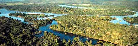 Aerial view of the Paraguay River, Pantanal, Mato Grosso, Brazil.
© WWF / Juan PRATGINESTOS Aerial view of the Paraguay River, Pantanal, Mato Grosso, Brazil. rel=