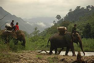 A Karen family travels to a neighboring village by elephant.
© Passanan Cutter
© Passanan Cutter