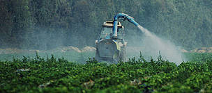 Pesticide spraying of a strawberry field, Spain.
© Michel Gunther / WWF
© Michel Gunther / WWF