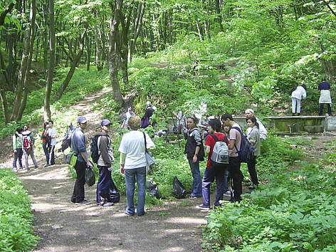 Шуменско плато по време на Националния ден на Природните паркове 2011 г.
© Shumensko Plato Nature Park archive Volunteers in Shumensko Plato Nature Park during WWF's National Day of the Nature Parks 2011 rel=