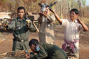 Enforcement is another important factor in WWF's conservation work in Cambodia's Eastern Plains. ...
© WWF-Cambodia / Rohit Singh
© WWF-Cambodia / Rohit Singh