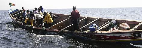 Traditional fishing off the coast of Dakar, Senegal.
© Olivier VAN BOGAERT / WWF rel=
